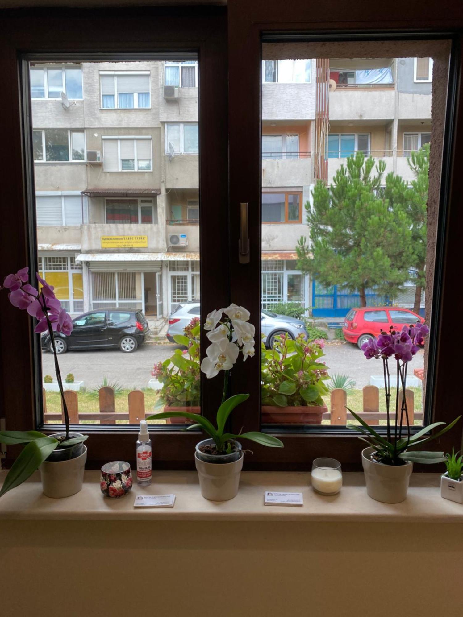 Sofia Family House - Free Parking Ξενοδοχείο Εξωτερικό φωτογραφία